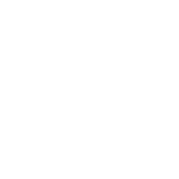 The Soap Store